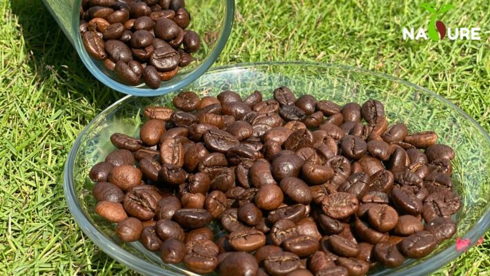 hạt cà phê Nature café