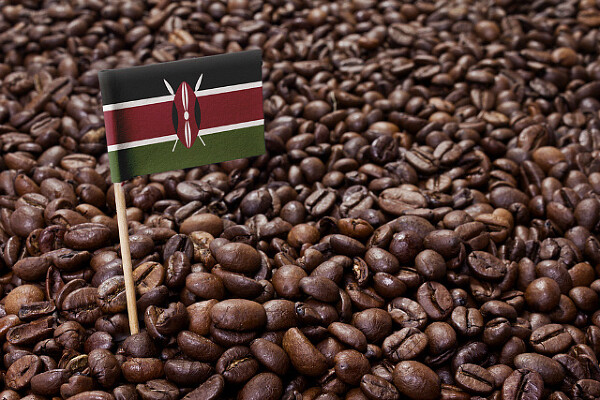 hạt cà phê kenya